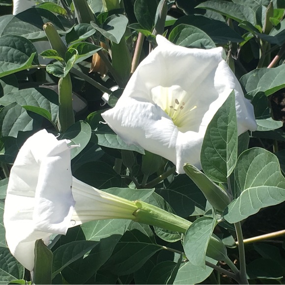 Meet your Posher - Picture 3 of 9